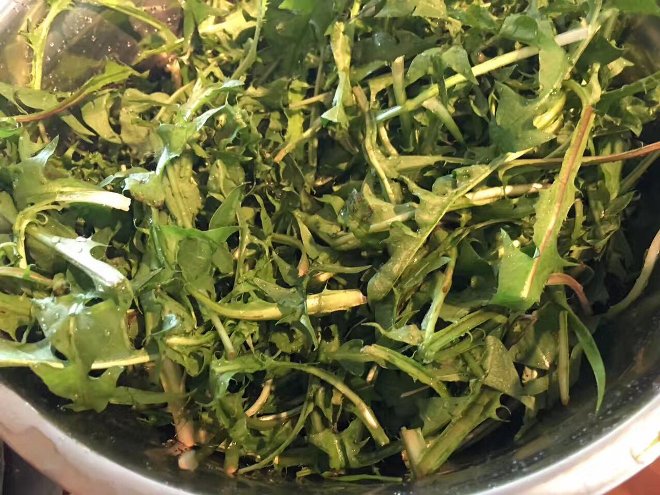 Dandelions Should Be Your Next Superfood Photo Credit: by CANPharmacyKing