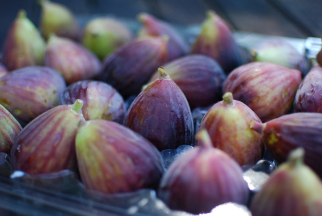 From Regulating Cholesterol to Boosting Sex Drive; The Many Health Benefits of Figs Photo Credit: by brandonmatzek, flickr.com