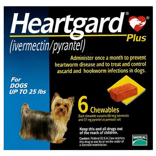 Heartgard | Ivermectin for Pets: All You Need to Know Photo Credit: by Alice Ortice, flickr.com