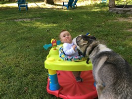 Kids and Dogs preview by @CarissaAndrews