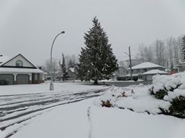 Photo taken by Tiffany 02/23/2014 4:23pm Surrey BC