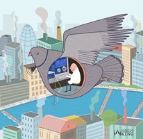 Pigeon Air Testing preview