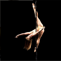 Pole Athlete Bee in Action preview